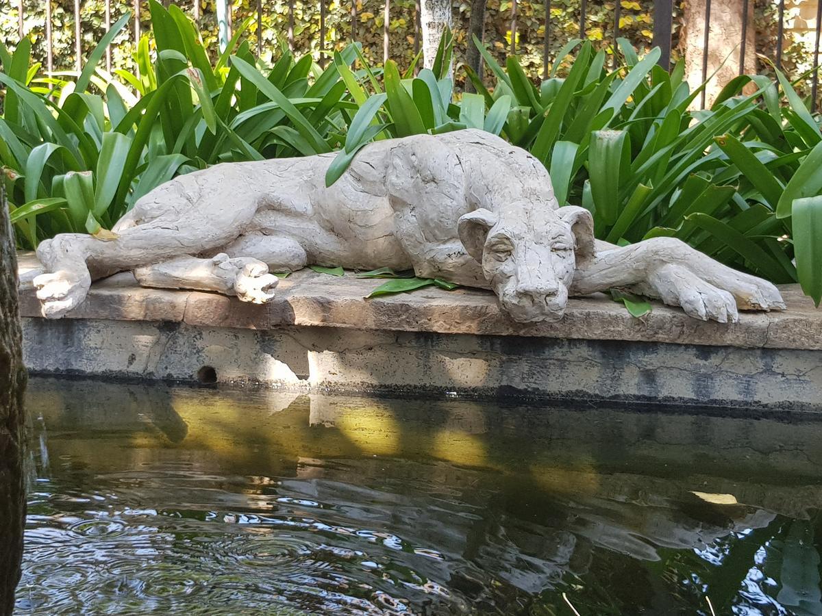 The Sculpture Yard 1 Apartment Pretoria Ngoại thất bức ảnh